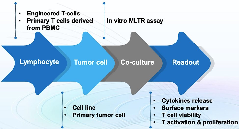 1.Figure 1: Basic Illustration of the MLTR Assay at GTOncoTM (Creative Biolabs Original)