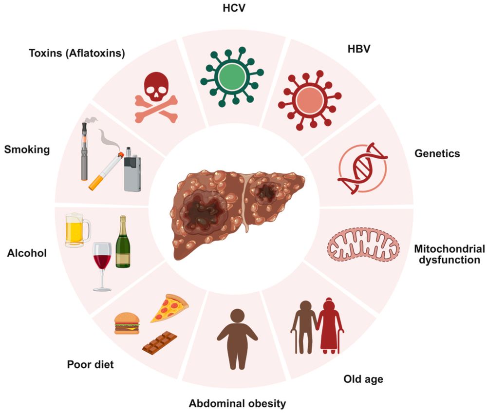Figure 1. Summary of the primary risk factors linked to hepatocellular carcinoma (HCC). (OA Literature)