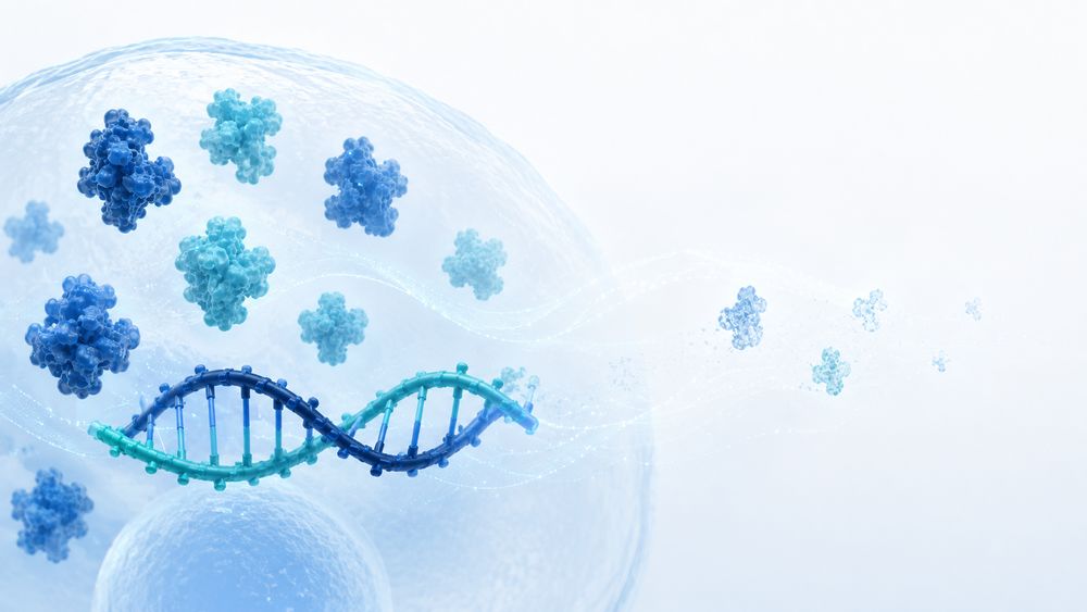 Illustration of reduced target protein following siRNA-mediated messenger RNA knockdown (Creative Biolabs original)