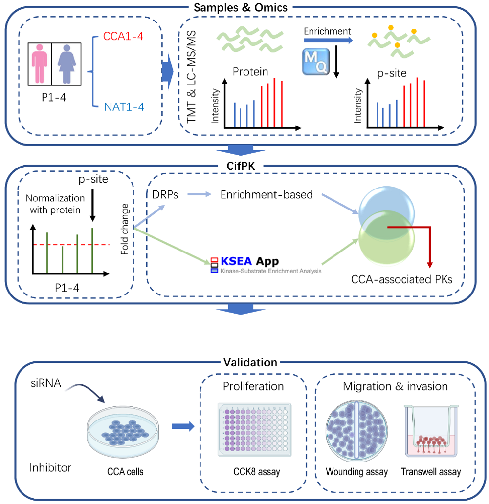 Fig 1. Automated bioreactor system used in scalable vector production