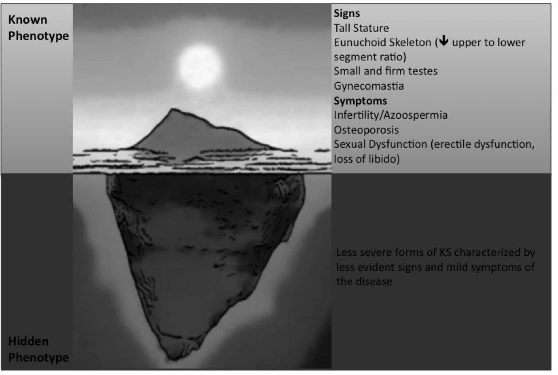Signs and symptoms of KS according to the severity of clinical phenotype