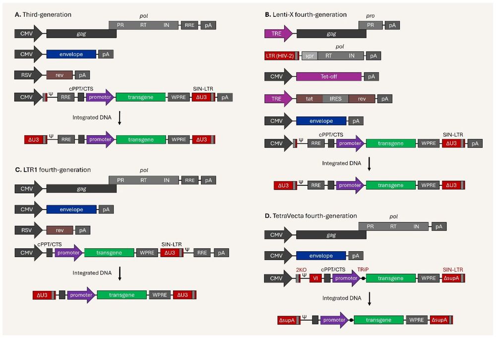 Figure 1. Diagrammatic representation of third-generation and next-generation lentiviral vectors. (OA Literature)