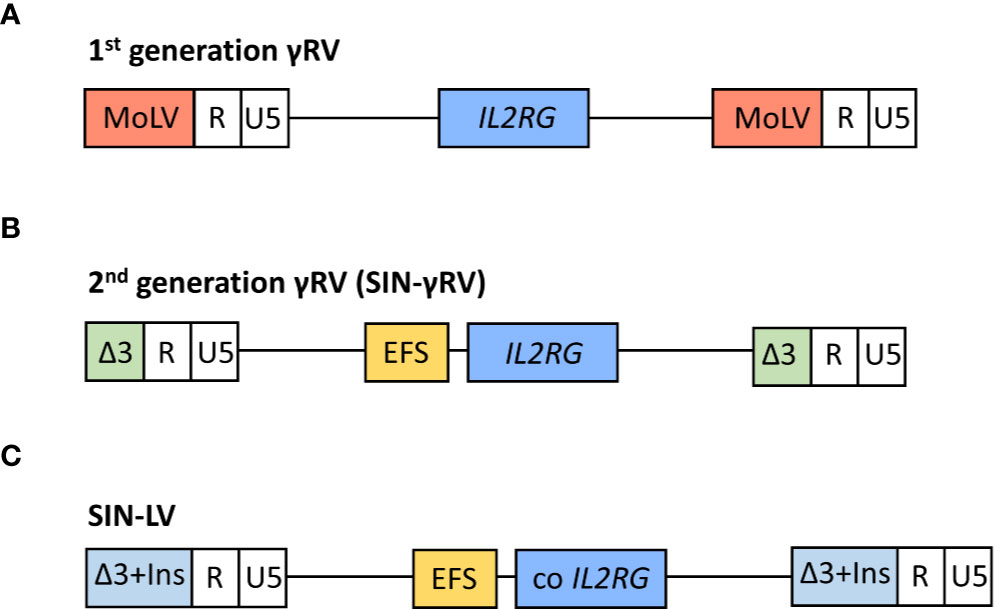 Figure 1. A schematic overview of the viral vectors employed in various clinical trials for treating SCID-X1 patients. (OA Literature)