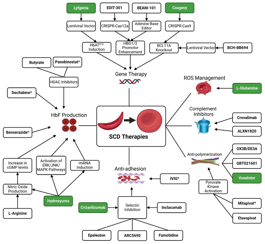 Figure 1 showcases both approved and novel therapies along with their respective pathways impacted in the treatment of Sickle Cell Disease (SCD) and its complications. (OA Literature)