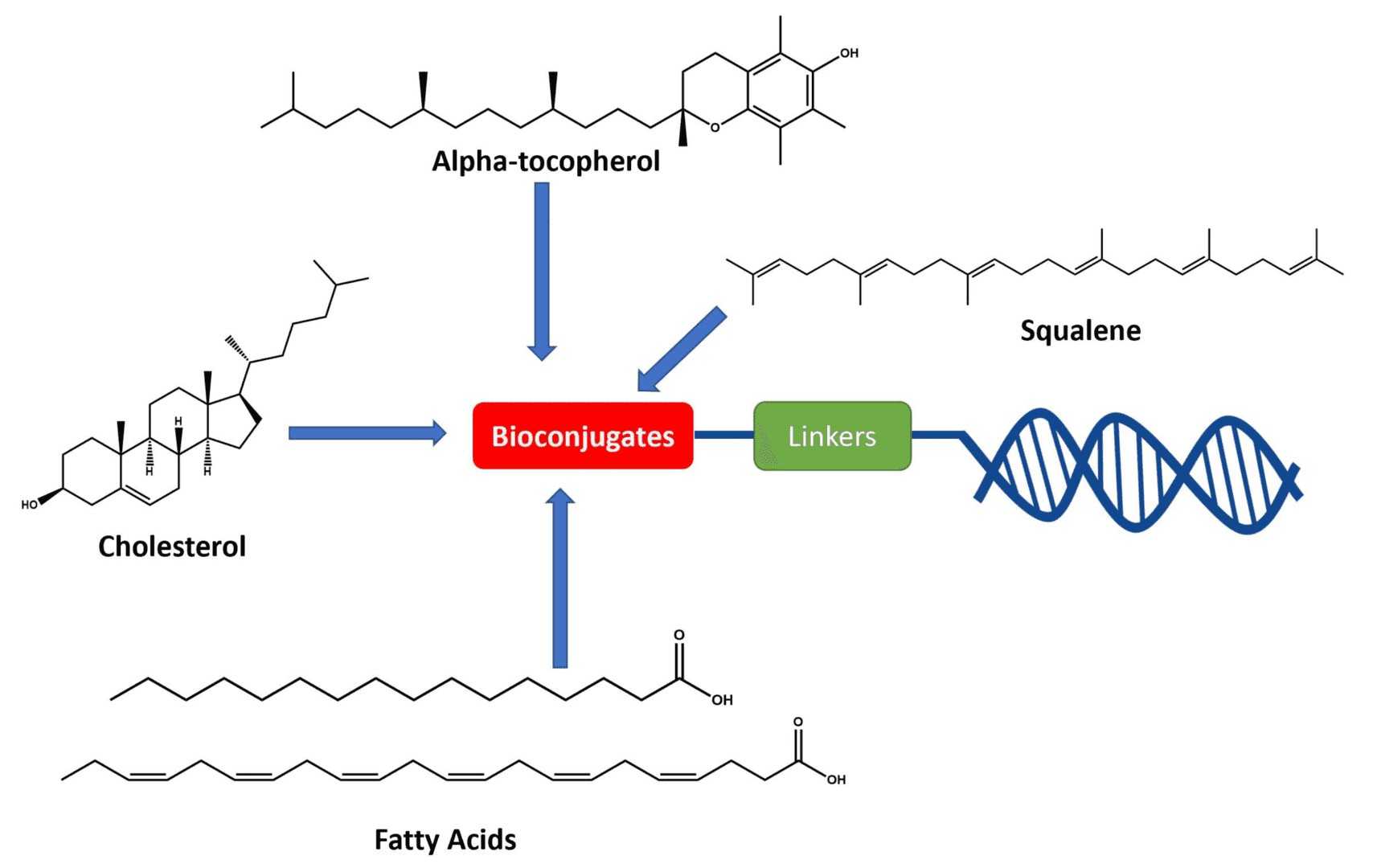 Figure 1. Structure of Lipid-Coupled Oligonucleotides. (OA Literature)