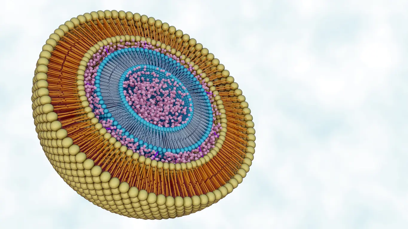 Gene Therapy LNP Application