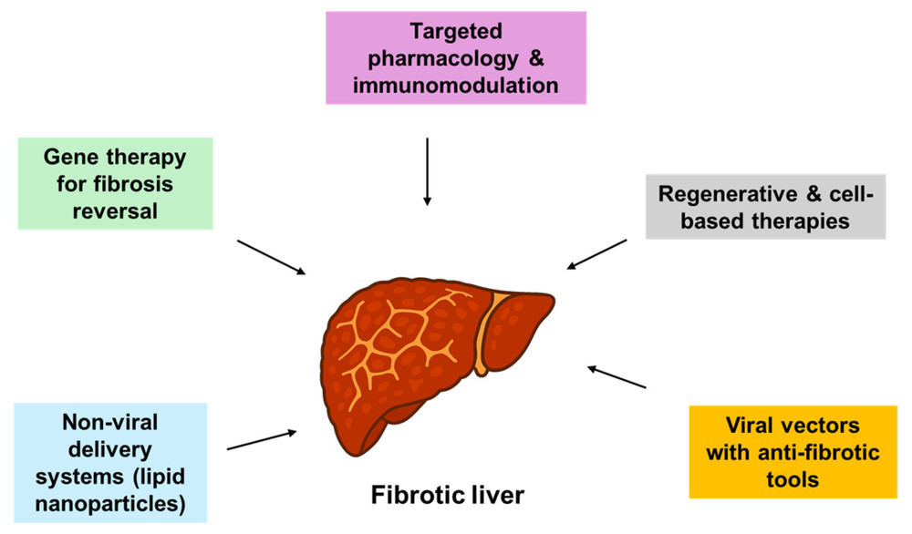 Figure 1. Technologies capable of targeting fibrosis. Progress in cell and gene therapies, regenerative medicine, and targeted pharmacological strategies, along with improvements in in vitro modeling, could lead to the development of new and effective treatments for liver fibrosis. (OA Literature)