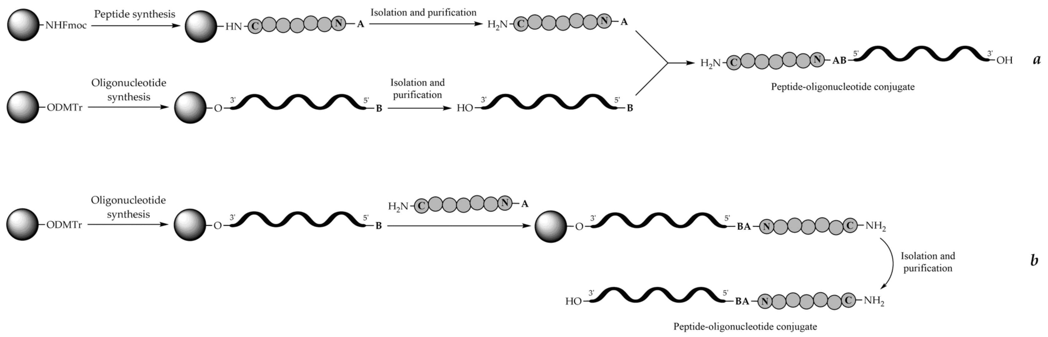 Figure 1. Schematic representation of various classes of RNA therapeutics. Abbreviations: ASO - antisense oligonucleotide; RNA - ribonucleic acid; RNAi - RNA interference; siRNA - small interfering RNA; miRNA - microRNA; mRNA - messenger RNA; A - adenosine molecule; AAAAA - poly A tail. (OA Literature)