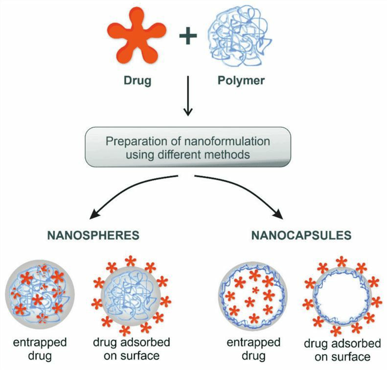 Figure 1. The polymeric nanoparticles encapsulated the drug. (OA Literature)