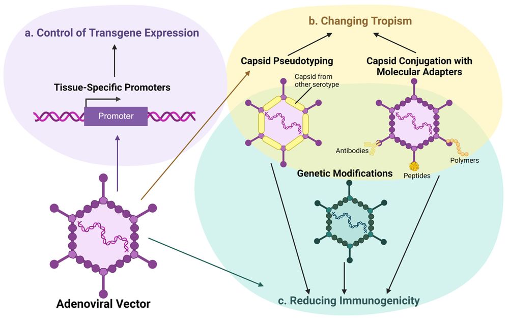 Figure 1. Approaches for Altering Adenoviral Vectors. (OA Literature)