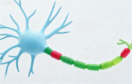 Figure 1: Neuronal Cells (Creative Biolabs Original)
