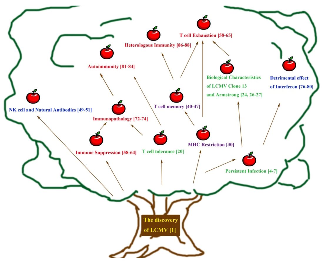 Figure 1. LCMV model system. (OA Literature)