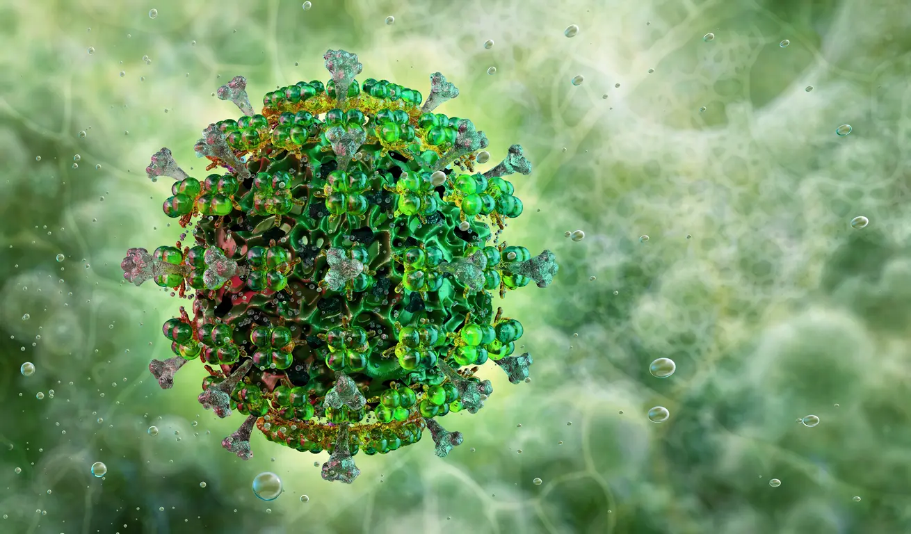 Adenovirus (Ad)