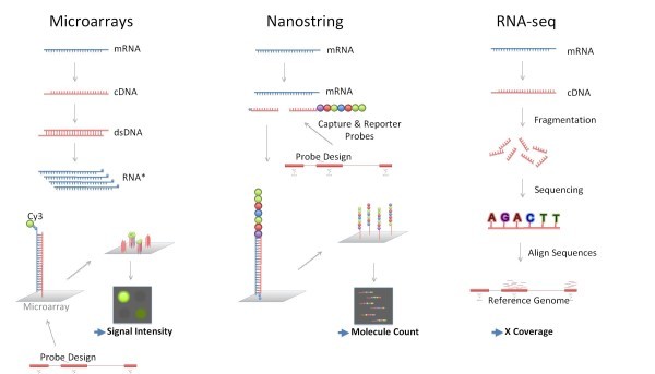 Figure 1. RNA Profiling Analysis. (OA Literature)