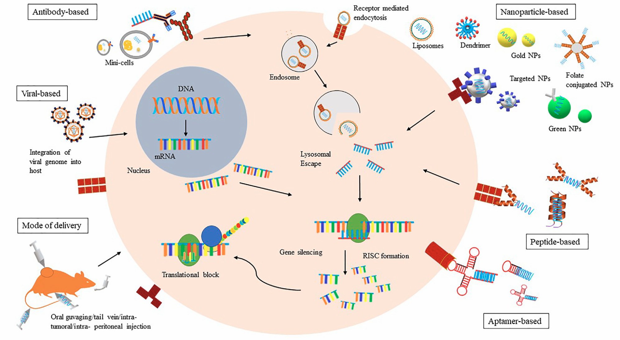 A schematic representation of various modes of Bio-drug delivery.