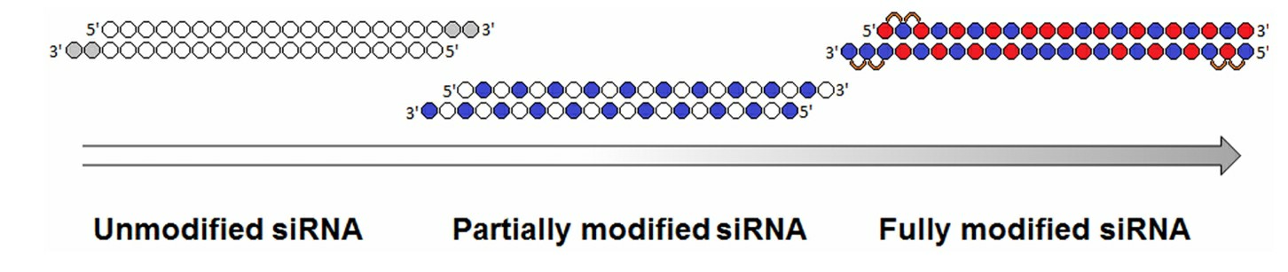 Evolution of siRNA chemical modification patterns.
