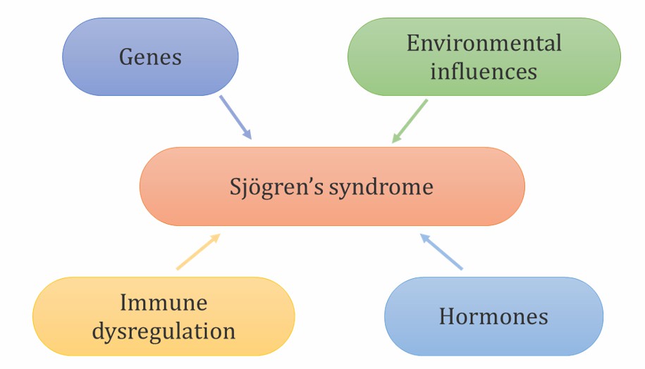 Pathogenesis of Sjögren's Syndrome