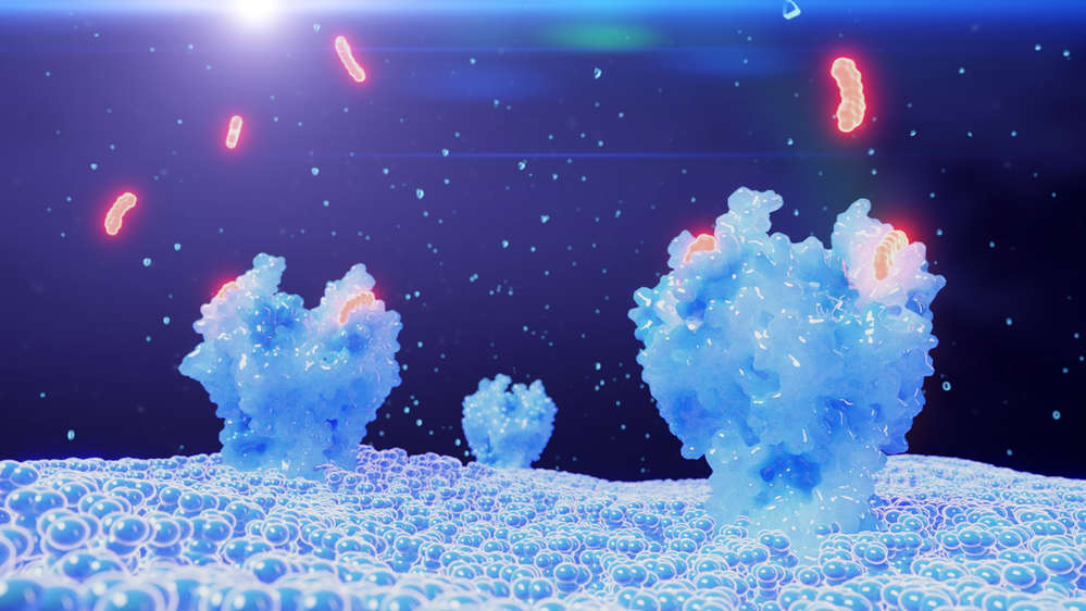 Conjugation Platform Overview