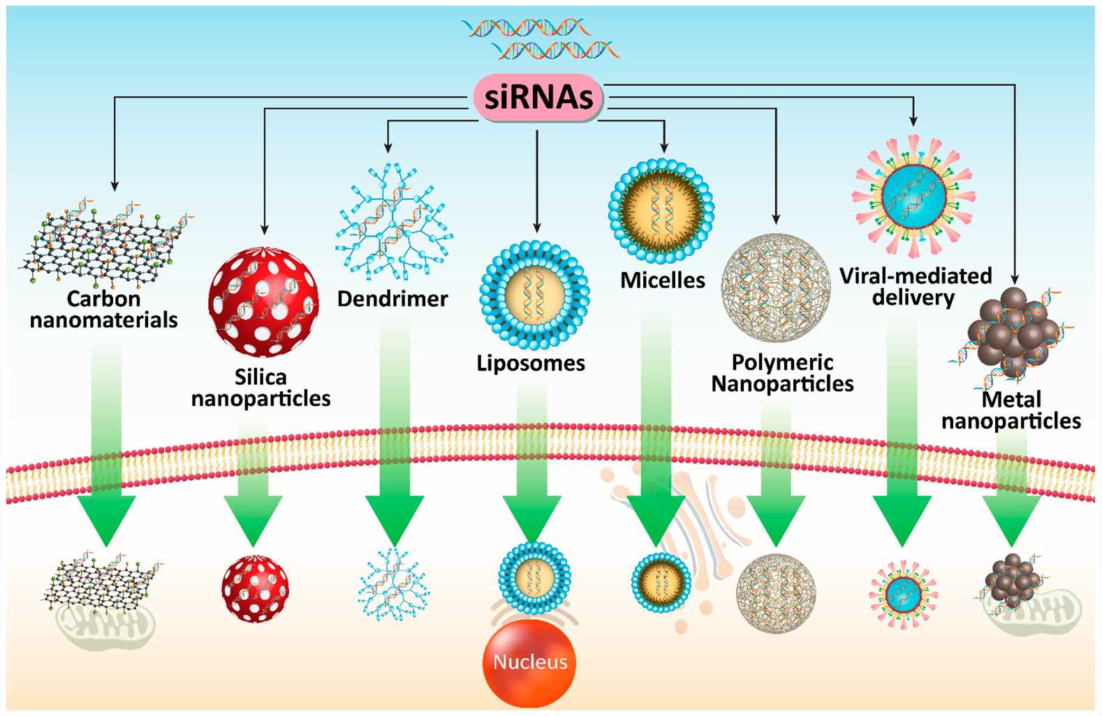 Different co-delivery systems for siRNA in PC therapy.