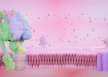 Glycoproteins