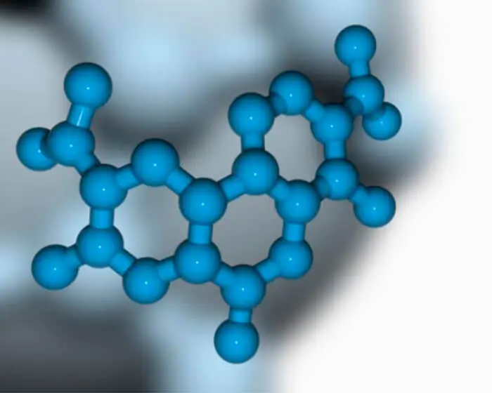 Custom Glycan Synthesis