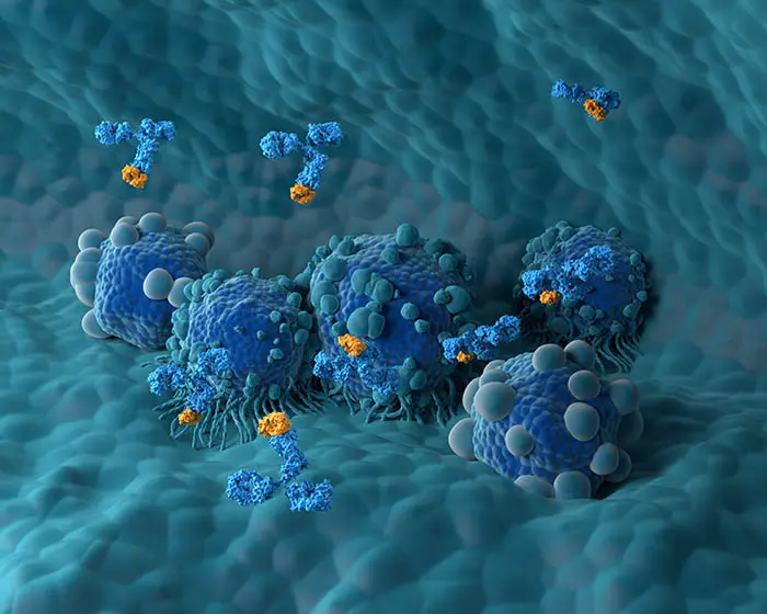 Therapeutic Antibody Glycoengineering