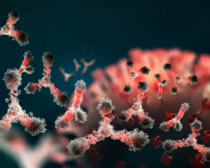 Anti-Glycan Antibody Development