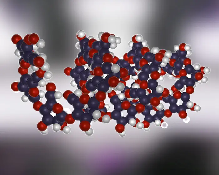 Polysaccharide Structure Analysis