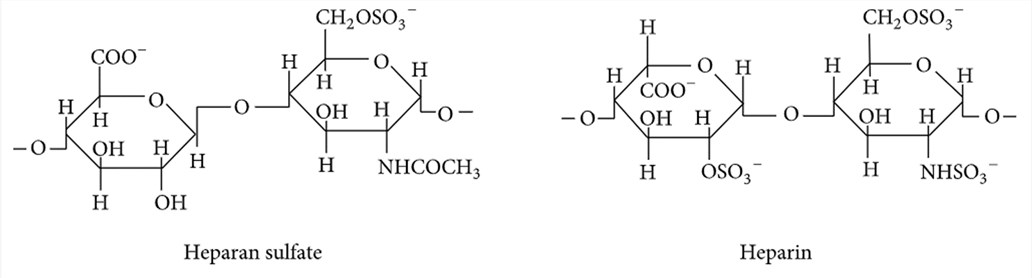 The structures of heparan sulfate and heparin. (Olczyk, Mencner & Komosinska-Vassev, 2015)