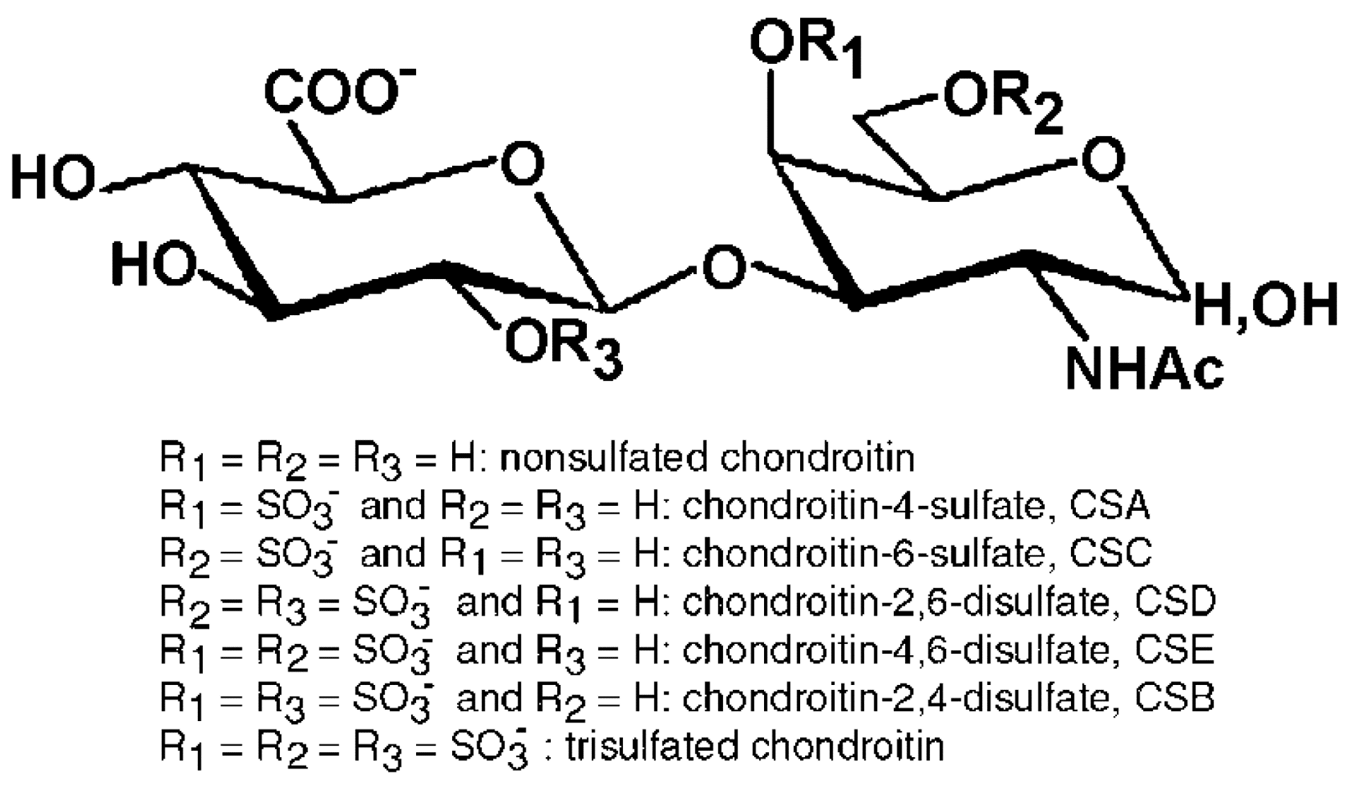 Structure of the disaccharides present in chondroitin sulfate backbone.