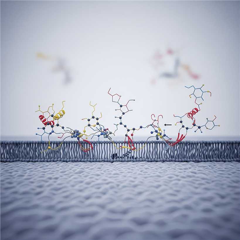 (Creative Biolabs AI)