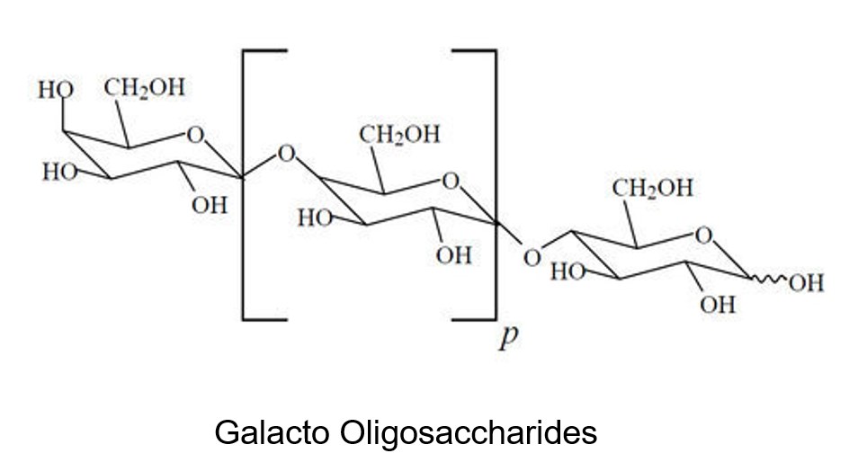 Custom Oligosaccharide Synthesis