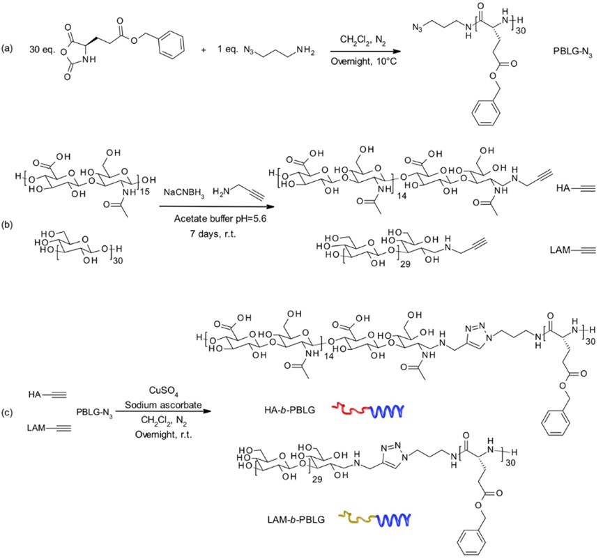 A protocol for the synthesis of polysaccharide block copolymers based on click chemistry. (OA Literature)