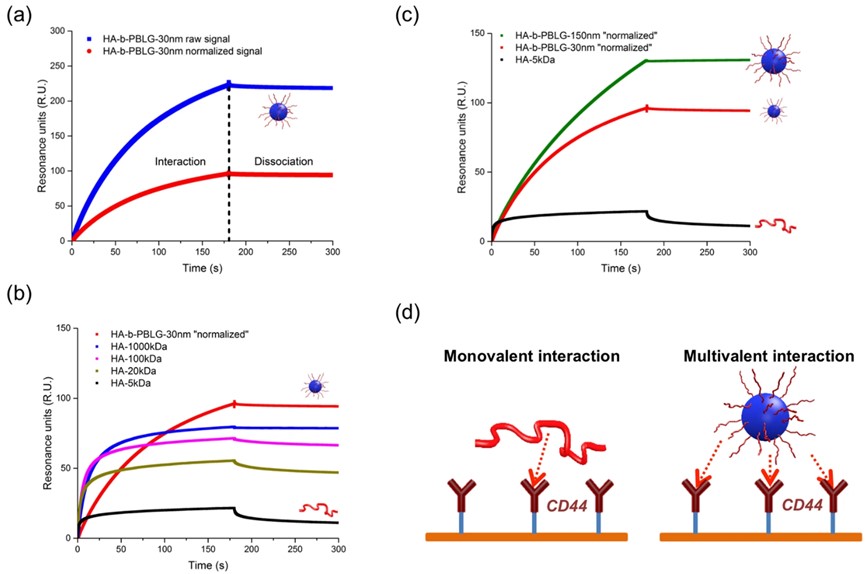 Interaction of block copolymers with CD44 based on surface plasmon resonance technology. (OA Literature)