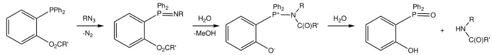Fig.1 Traceless Staudinger ligation process.