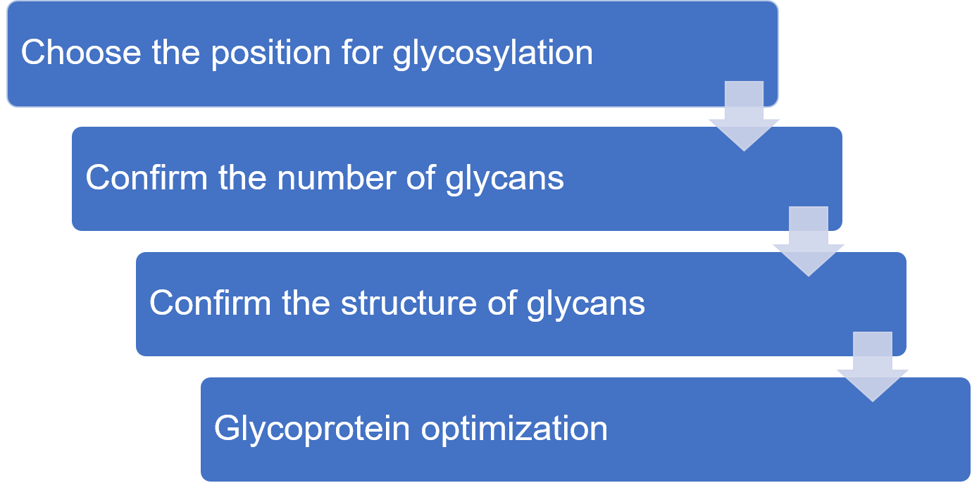 Custom Glycoprotein Synthesis
