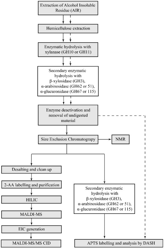 Fig.1 Development of grass glucuronoarabinoxylan oligosaccharide library. (Tryfona, et al., 2019)