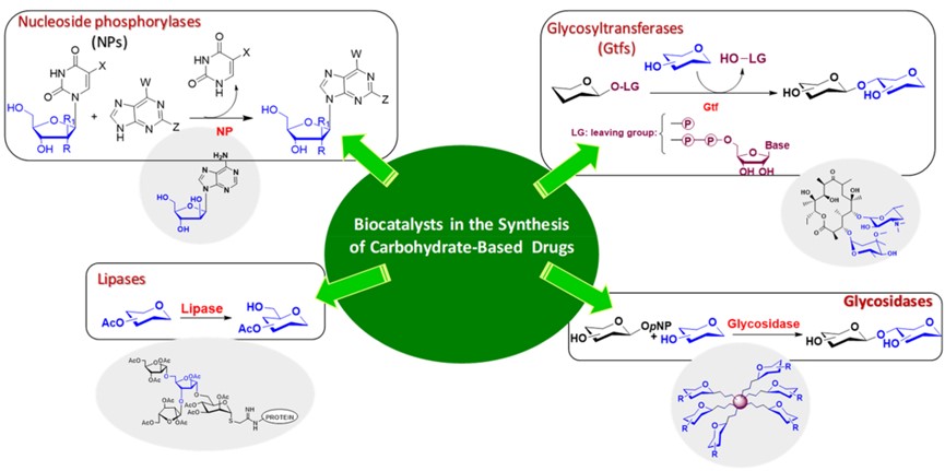 Schemes for the synthesis of carbohydrate-based drugs. (OA Literature)