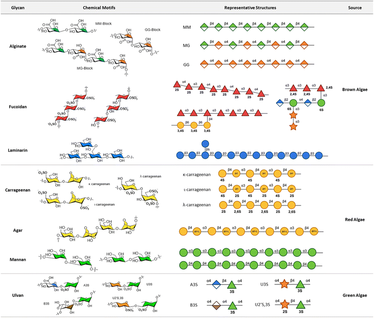 Fig.1 Architecture of marine glycans originating from macroalgal sources. (OA Literature)