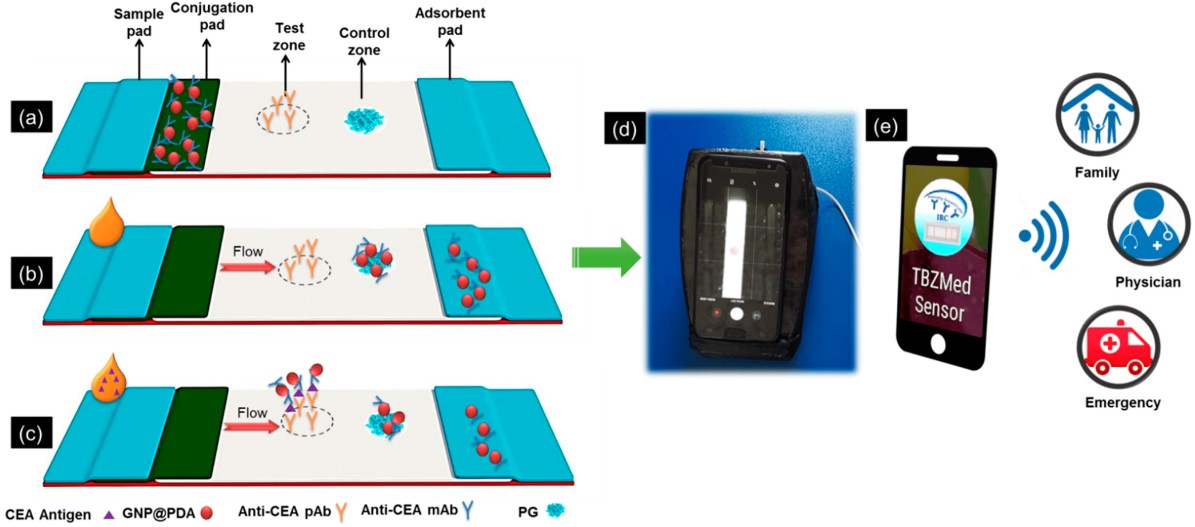 Fig.1 Schematic diagram of CEA detection. (Mahmoudi, et al., 2021)