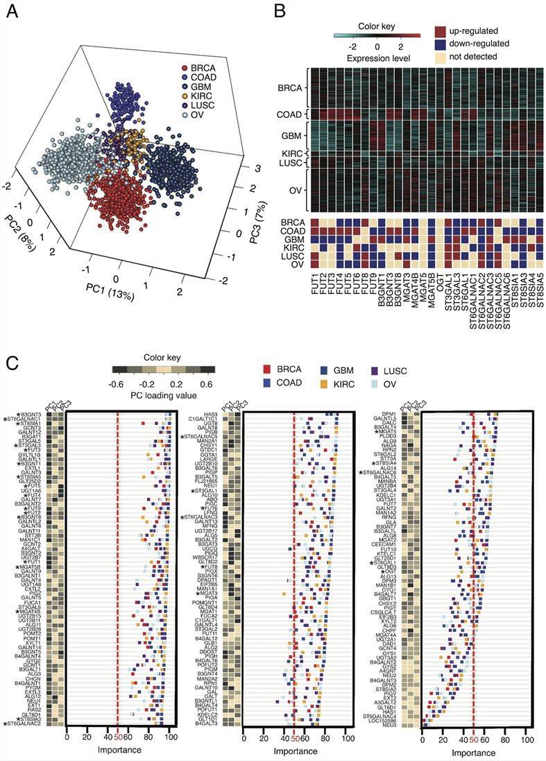 Expression profile of GT genes segregates six cancer types.