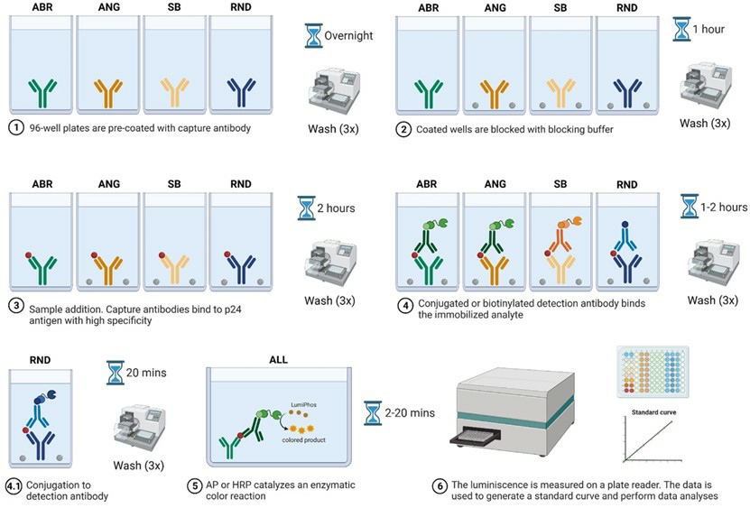Fig.1 ELISA analysis workflow for detecting HIV infection.