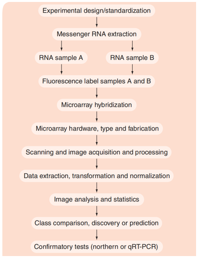 Major components of a microarray experiment. 