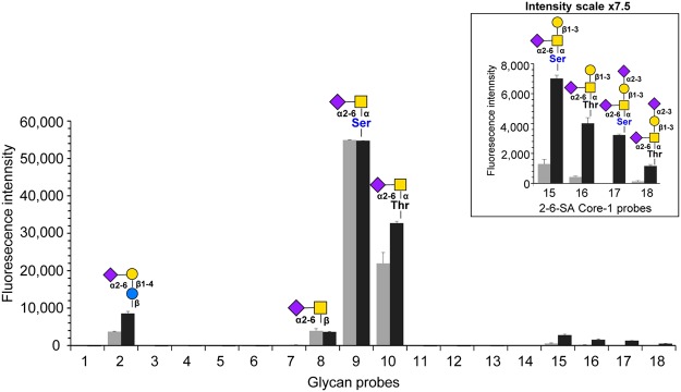 Fig.1 Analysis of anti-STn L2A5 mAb binding specificity using a glycan microarray. (OA Literature)