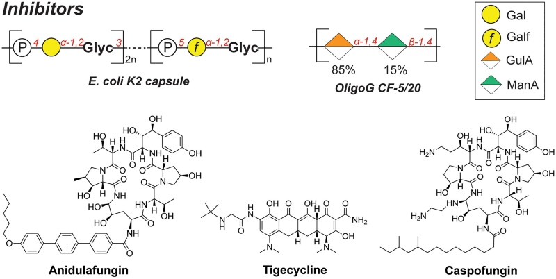 Fig.1 Architectures of agents targeting biofilm formation. (OA Literature)