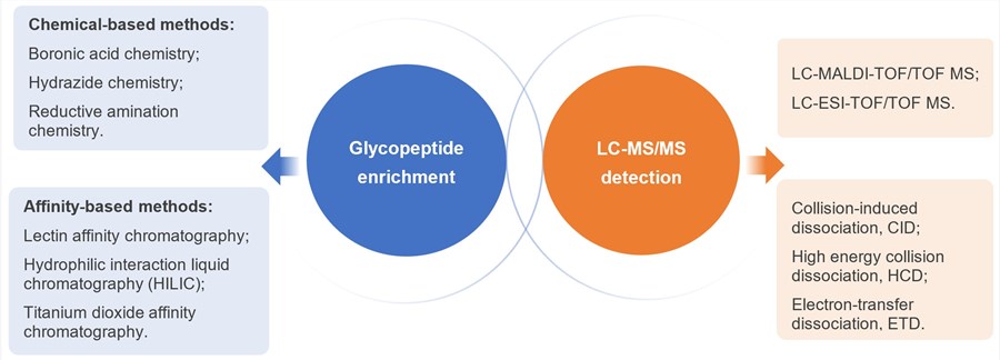 Technologies utilized for LDT development.