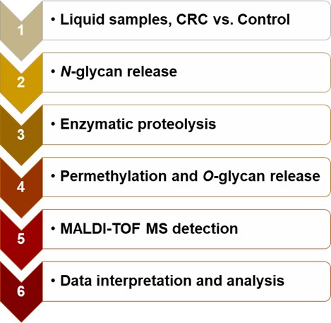 LDT development for O-glycosylation profiling.