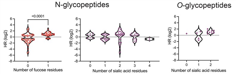 Fig.3 Fucosylation and sialylation in ICI. (Pickering, et al., 2023)
