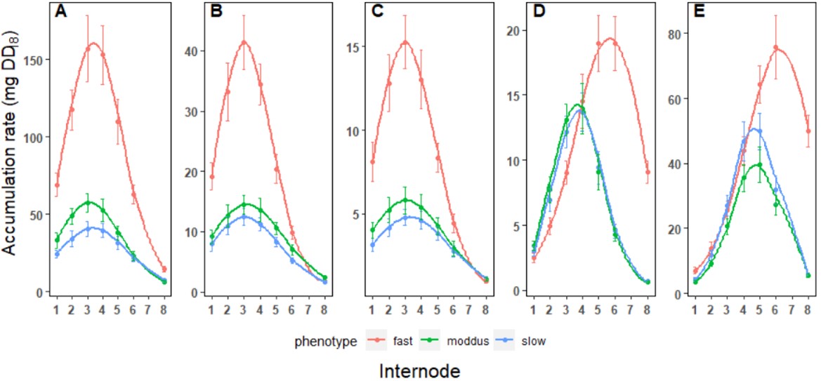 Fig.2 Accumulation rate of various biomasses of sugarcane internodes.