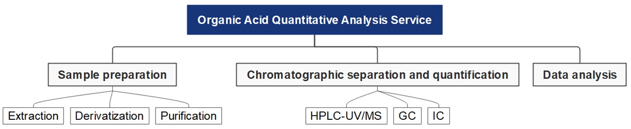 Comprehensive organic acid profiling service. (Creative Biolabs Original)